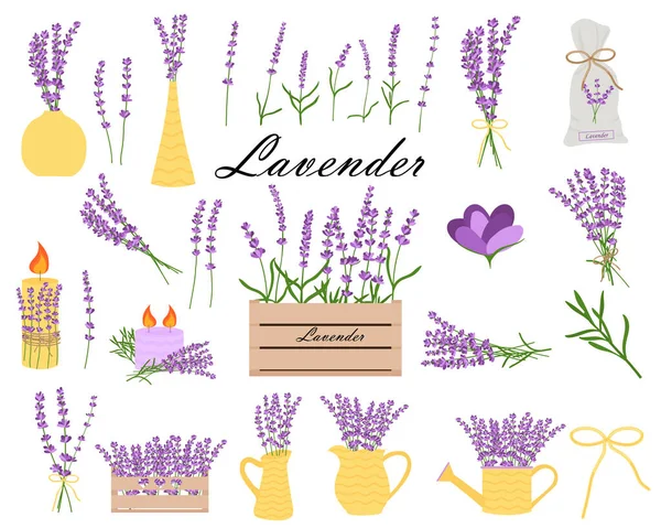 Delicate Lavender Set Lavender Flowers Yellow Vases Lavender Candles Lavender — Vector de stock