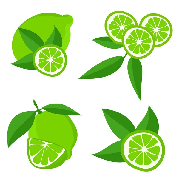 Set Limes Cutting Citrus Fruits Slices Slices Circles Ripe Fresh — Wektor stockowy