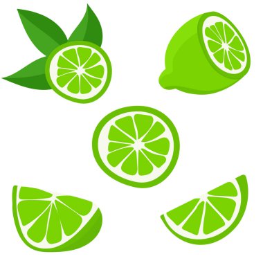 Limonlu olsun. Turunçgil meyvelerini dilimlere, dilimlere, dairelere ayırmak. Ağaç dalında olgun taze limonlar. Vektör düz resimleme