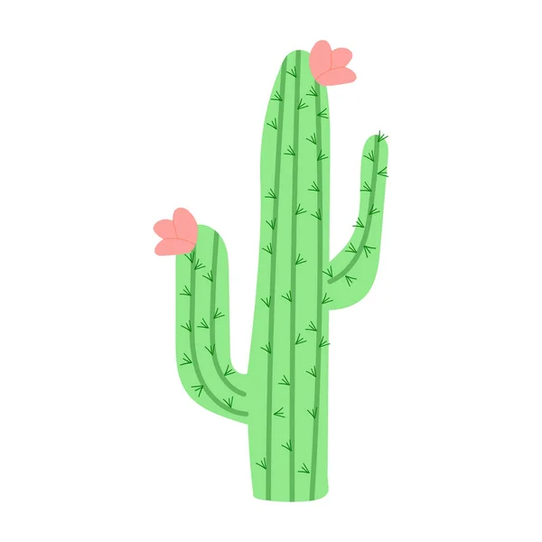 Large Cactus Pink Flowers Vector Illustration Mexican Cactus Desert Plant — стоковый вектор