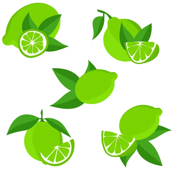 Set Limes Cutting Citrus Fruits Slices Slices Circles Ripe Fresh — ストックベクタ