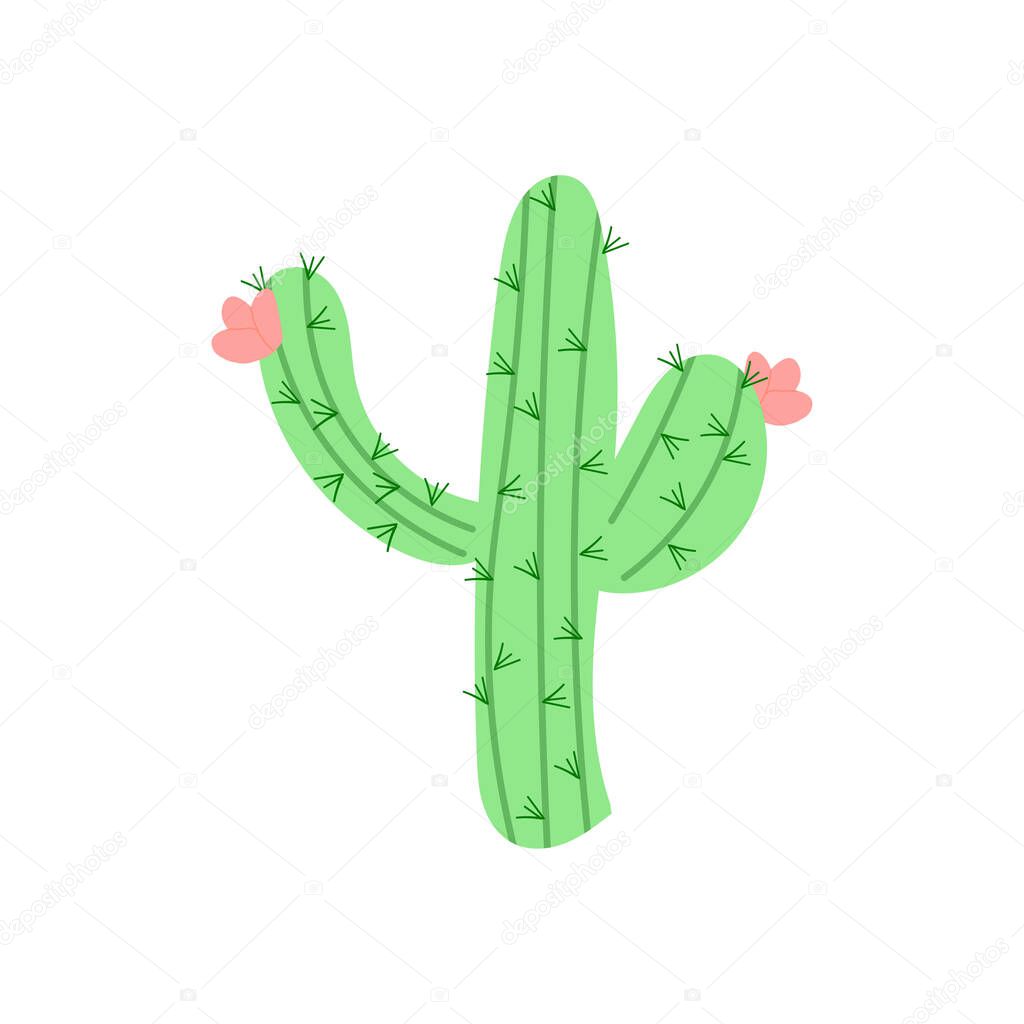 Large cactus with pink flowers. vector illustration. mexican cactus desert plant.
