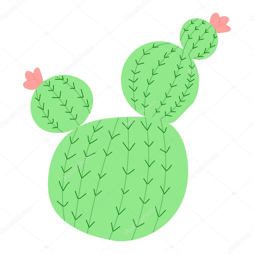 Large cactus with pink flowers. vector illustration. mexican cactus desert plant.