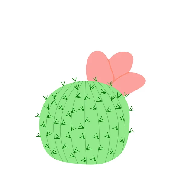 Cactus Pink Flower Vector Illustration Mexican Cactus Desert Plant — Vector de stock