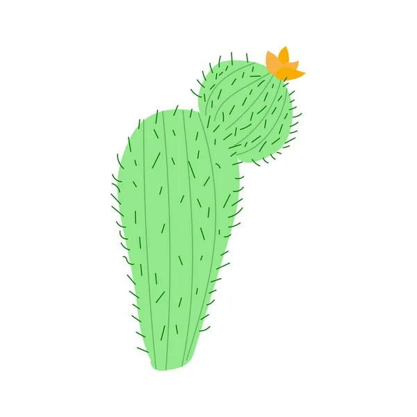 Large Cactus Yellow Flowers Vector Illustration Mexican Cactus Desert Plant — Stockvector