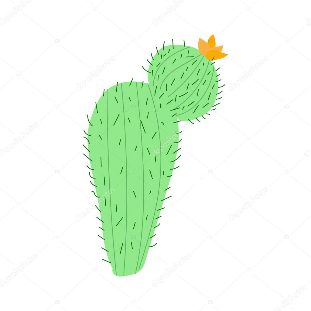 Large cactus with yellow flowers. vector illustration. mexican cactus desert plant.