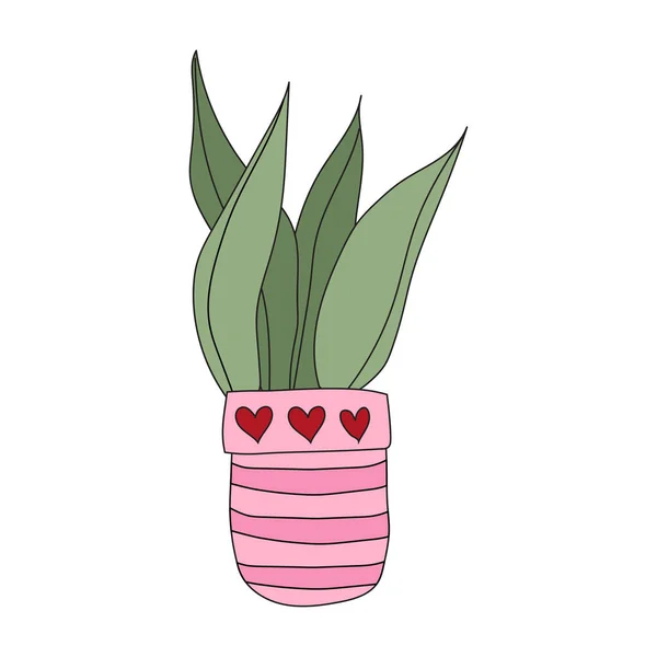 Home Plant Cactus Pink Pot Cute Vector Doodle Illustration House — Vettoriale Stock