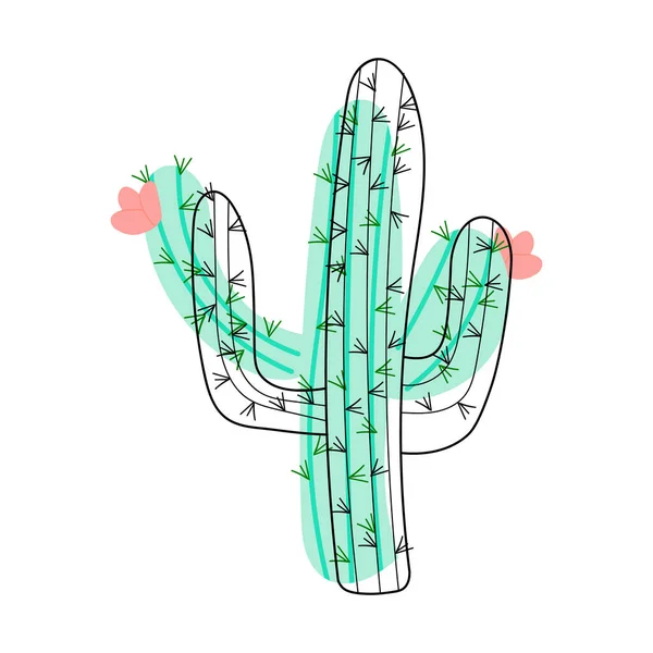 Large Cactus Pink Flowers Vector Illustration Mexican Cactus Desert Plant — Image vectorielle