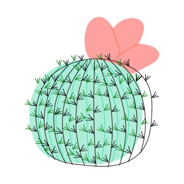 Pembe çiçekli yuvarlak kaktüs. Vektör çizimi. Meksika kaktüs çöl bitkisi..