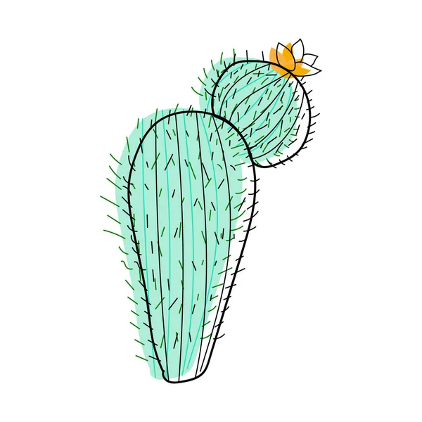 Large Cactus Yellow Flowers Vector Illustration Mexican Cactus Desert Plant — стоковый вектор