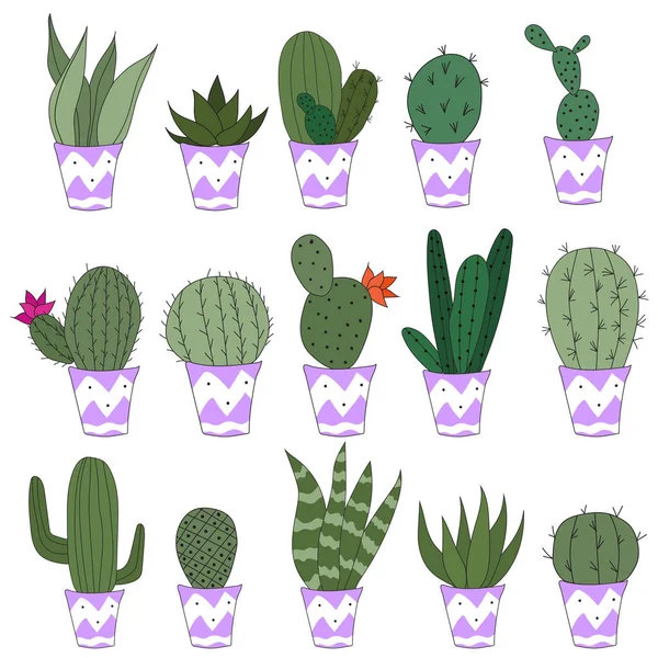 Set Cute Doodle Cacti Purple Pots Vector Illustration Cute Indoor — Vetor de Stock