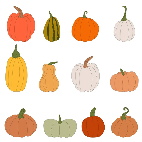 Pumpkins Halloween Squash Fall Harvest Gourds Autumn Thanksgiving Halloween Pumpkins — Vettoriale Stock