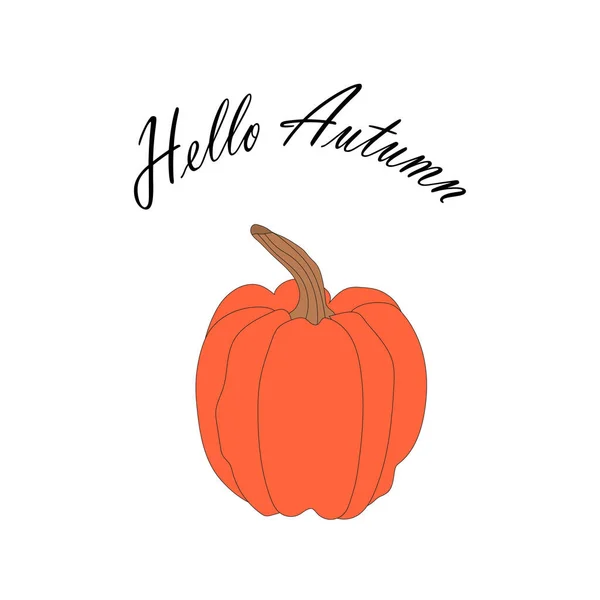 orange pumpkin illustration, lettering hello autumn. autumn harvest illustration.