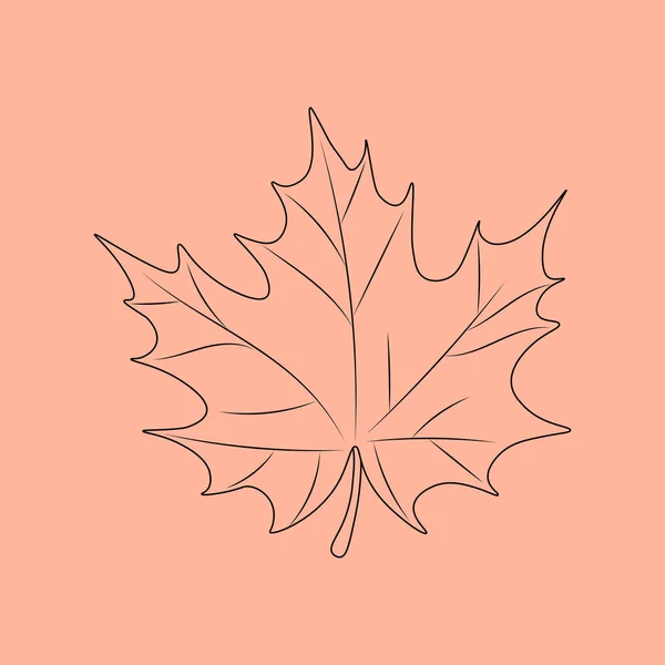 Set of hand drawn leaf outlines. Vector illustration. on the autumn background.