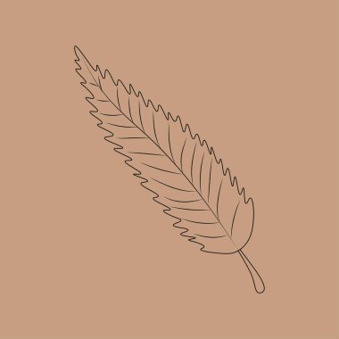 Set of hand drawn leaf outlines. Vector illustration. on the autumn background.