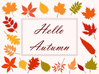 hello autumn in autumn flowers, a set of autumn leaves in autumn flowers.