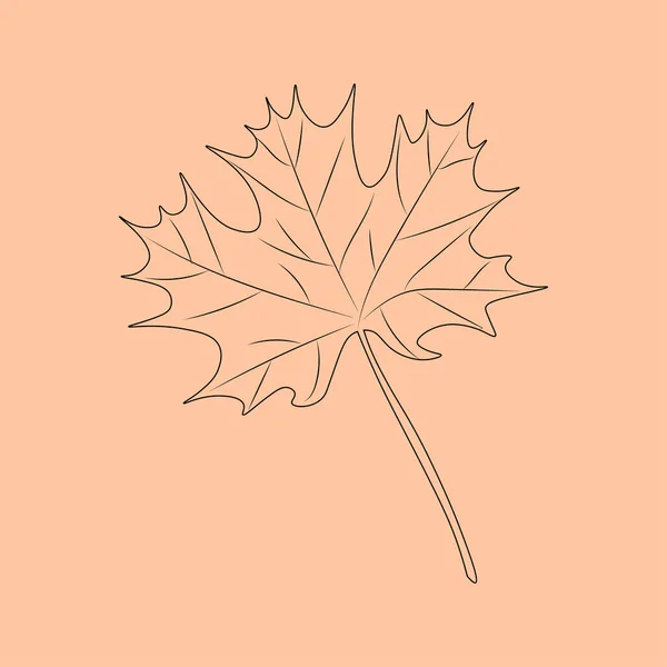 Set Hand Drawn Leaf Outlines Vector Illustration Autumn Background — Vector de stock