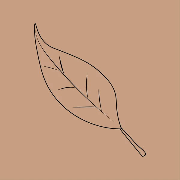 Set Hand Drawn Leaf Outlines Vector Illustration Autumn Background — Stock vektor