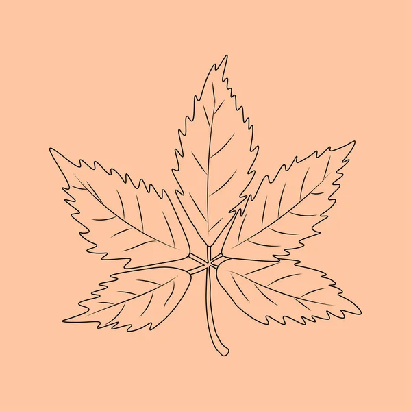 Set Hand Drawn Leaf Outlines Vector Illustration Autumn Background — Stok Vektör