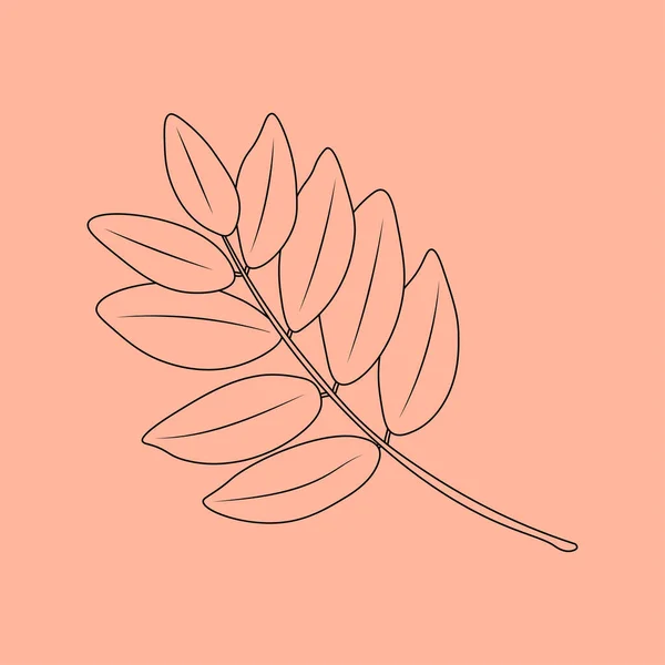 Set Hand Drawn Leaf Outlines Vector Illustration Autumn Background — Stok Vektör