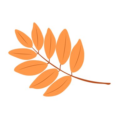 Autumn Leaves Vektör Illustration. Sonbahar yaprakları. Düşen ağaç yaprağının en üst görüntüsü. Düz vektör.