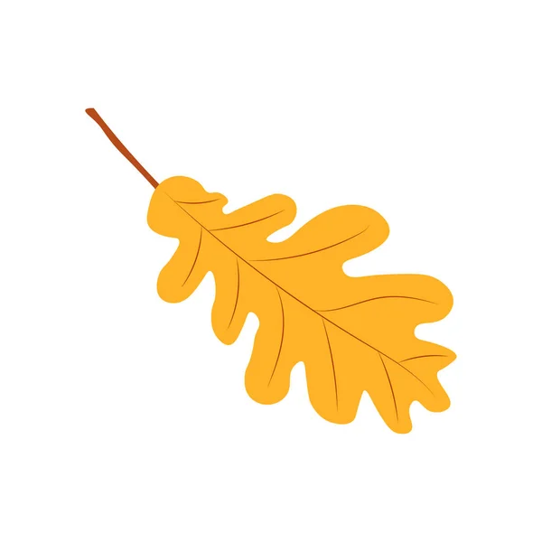Autumn Leaves Vector Illustration Podzimní Listí Pohled Shora Listí Podzimu — Stockový vektor