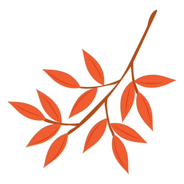 Autumn Leaves Vektör Illustration. Sonbahar yaprakları. Düşen ağaç yaprağının en üst görüntüsü. Düz vektör.