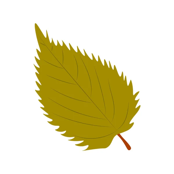 Autumn Leaves Vector Illustration Foglie Autunno Vista Dall Alto Foglia — Vettoriale Stock
