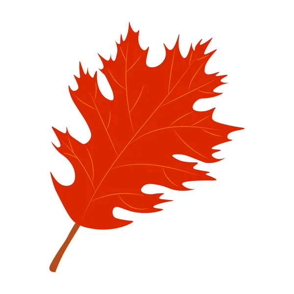 秋の紅葉ベクトルイラスト 秋の紅葉 秋の木の葉のトップビュー 平面ベクトル — ストックベクタ