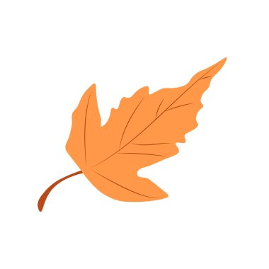 Autumn Leaves Vektör Illustration. Sonbahar yaprakları. Düşen ağaç yaprağının en üst görüntüsü. Düz vektör.
