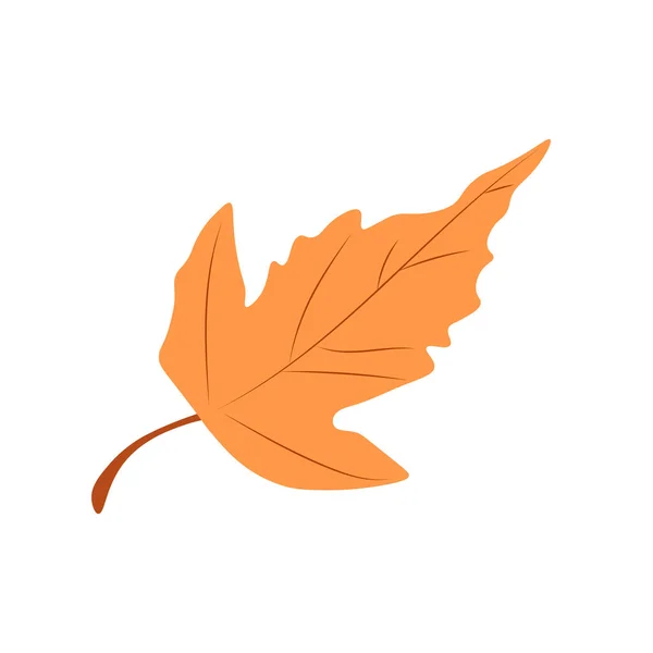 Autumn Leaves Vector Illustration Otoño Vista Superior Hoja Árbol Otoño — Vector de stock