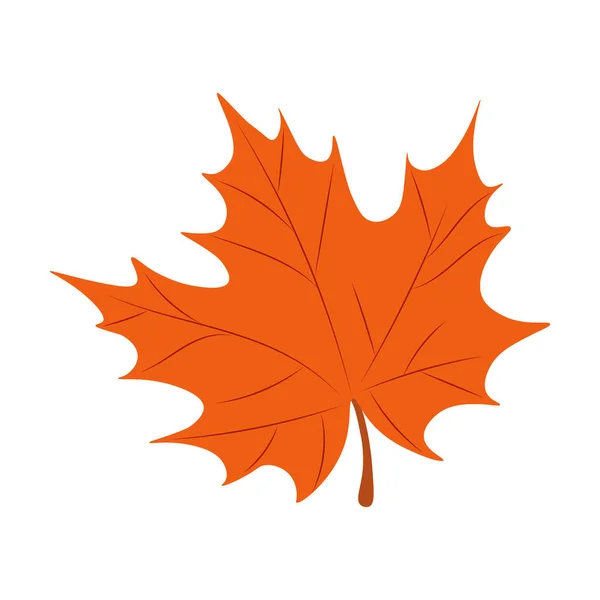 メイプルはベクターイラストを残します 秋の紅葉 — ストックベクタ