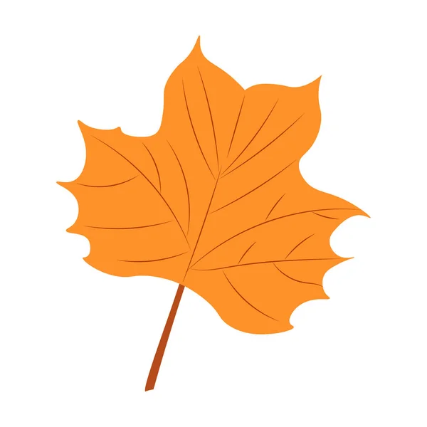 Autumn Leaves Vector Illustration Otoño Vista Superior Hoja Árbol Otoño — Vector de stock