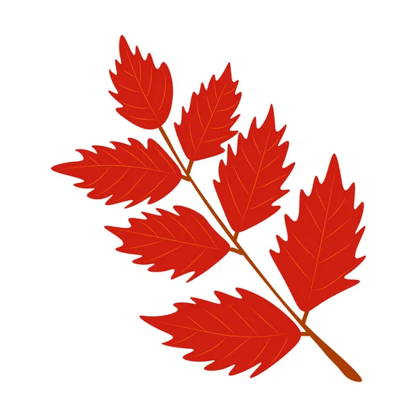 秋の紅葉ベクトルイラスト 秋の紅葉 秋の木の葉のトップビュー 平面ベクトル — ストックベクタ