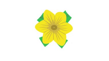 Çiçek hareketi çok güzel bir video.