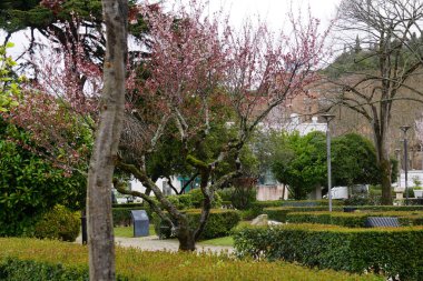 Leiria Portugal city center and its beautiful squares and gardens.