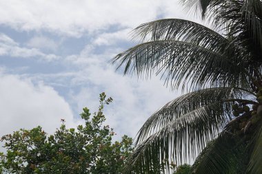 Muhteşem bir doğa gibi, muhteşem bir gökyüzü..