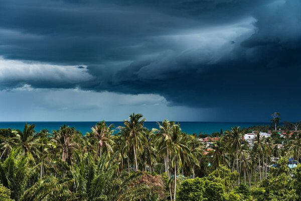Dramatic storm clouds over the sea, forest and rooftops on a summer day