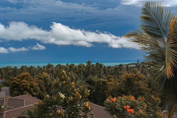 Výhled Balkonu Střechy Lesní Palmové Listy Pozadí Tyrkysové Moře Modrá Stock Obrázky