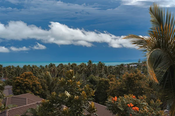 Výhled Balkonu Střechy Lesní Palmové Listy Pozadí Tyrkysové Moře Modrá Stock Snímky