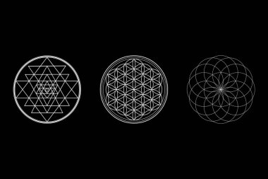 Flower Of Life Background, Sri Yantra Wallpaper, Torus Symbol, Sacred Geometry Wallpaper Concept, Sacred Geometry Isolated On Black Background Illustration, 3 Ancient Symbol