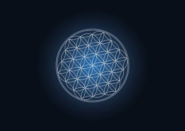 Flower Of Life Illustration, Ancient Symbol, Mandala, Ancient Geometry, Blue Abstract Background, Seed Of Life Symbol, Mystic, Spirituel High Quality Wallpaper