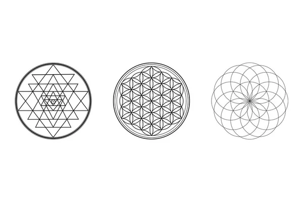 Sacred Geometry Background, Sri Yantra, Flower Of Life, Torus, Sacred Geometry Isolated White Background Illustration, 3 Ancient Symbol