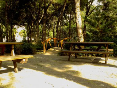 Wooden bridge in the park photo, bright sunlight hits the ground, empty benches under the trees, cozy and relaxing environment, beautiful park image