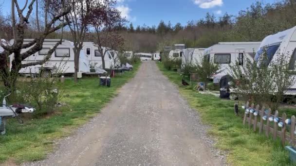 Caravan Camping Site Nature Caravans Campground Full Travel Trailers Countryside — Video Stock