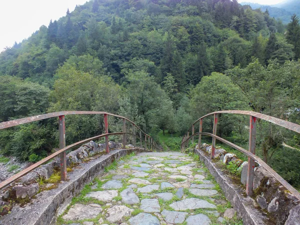 Camlihemsin Rize Turkeyの景色を望むフィルティナ川にかかる古い石Senyuva橋 — ストック写真