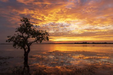 Manzarası dramatik güzel gün batımı gökyüzü. Doğal Günbatımı Karanlık Diyar 'ın gölgesinde. Kırsal kesimde gün batımında, şafakta, gün doğumunda canlı, dramatik bir gökyüzü. Gün batımında manzara Renkli Gökyüzü