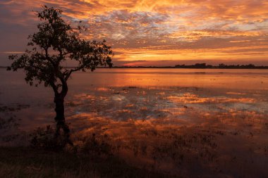 Manzarası dramatik güzel gün batımı gökyüzü. Doğal Günbatımı Karanlık Diyar 'ın gölgesinde. Kırsal kesimde gün batımında, şafakta, gün doğumunda canlı, dramatik bir gökyüzü. Gün batımında manzara Renkli Gökyüzü