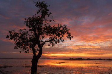 Manzarası dramatik güzel gün batımı gökyüzü. Doğal Günbatımı Karanlık Diyar 'ın gölgesinde. Kırsal kesimde gün batımında, şafakta, gün doğumunda canlı, dramatik bir gökyüzü. Gün batımında manzara Renkli Gökyüzü