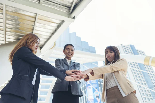 Kadın Ortaklar, modern şehir açıklarında iş adamlarından oluşan bir ekip oluşturuyorlar. Kadın Eller, ortaklık takımlarına katılıyor. Birleşme ortaklığı